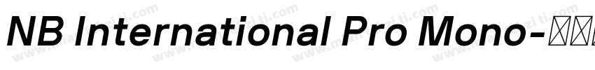 NB International Pro Mono字体转换